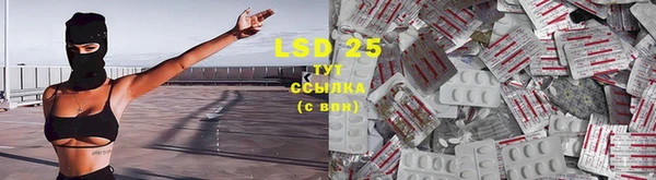 МДПВ Семилуки