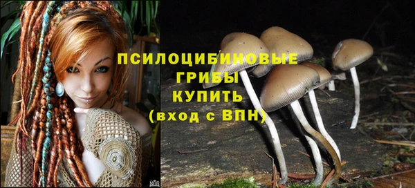 молекула духа Карталы